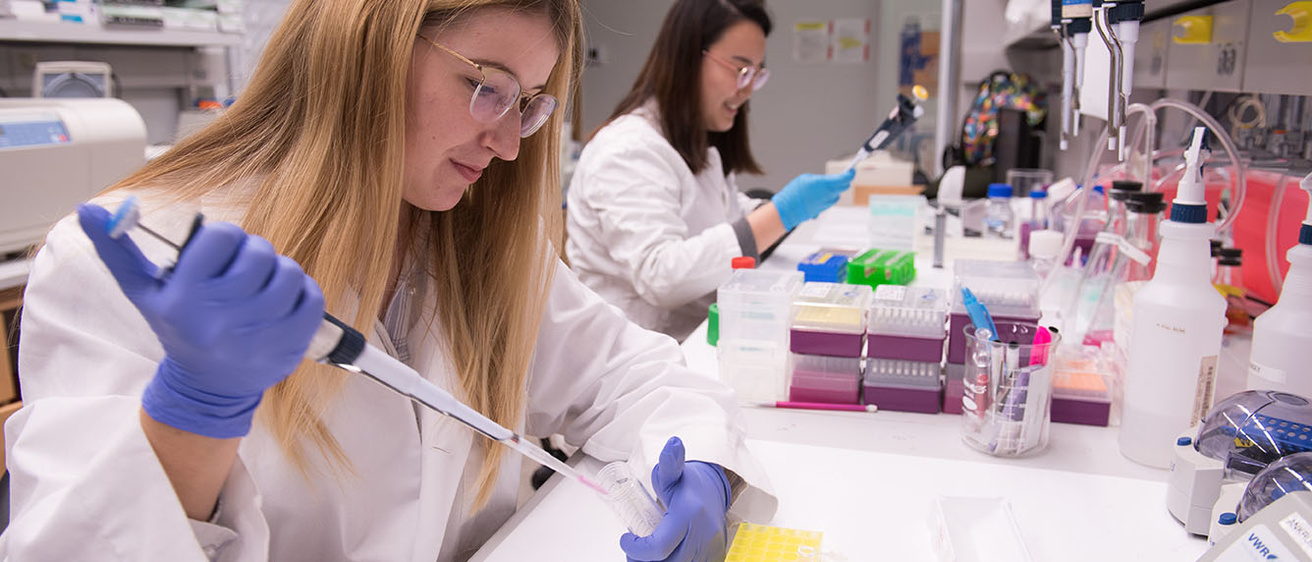 Lin Di and Hannah Dobroski do research in James Ankrum’s lab