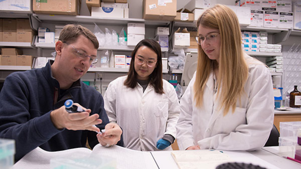 James Ankrum works with students in his lab